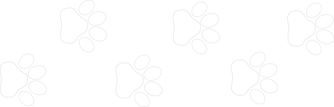 Dog print tracks - white